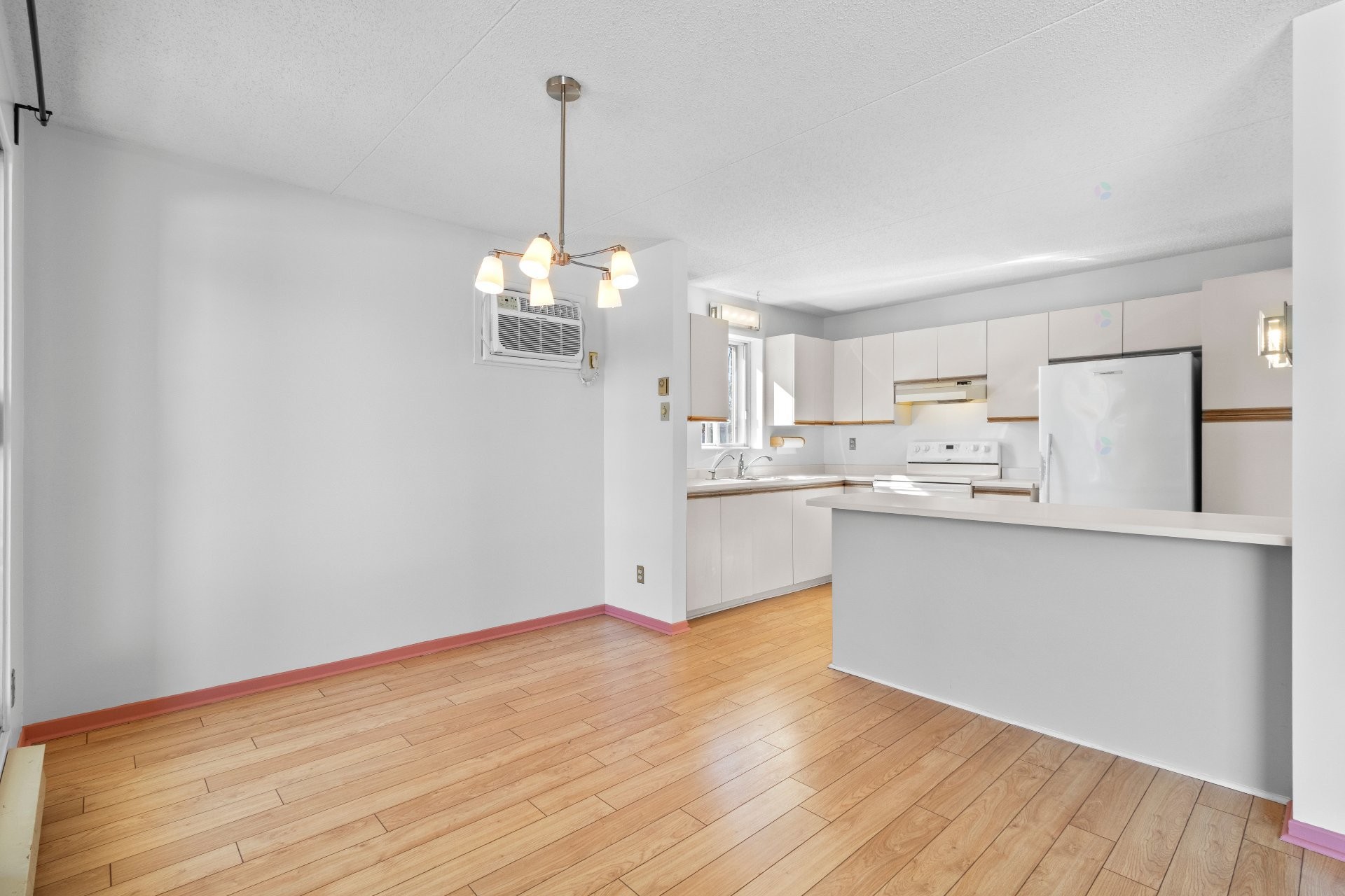 









11113


Rue Meighen

, 3,
Montréal (Pierrefonds-Roxboro),




QC
H8Y3H7

