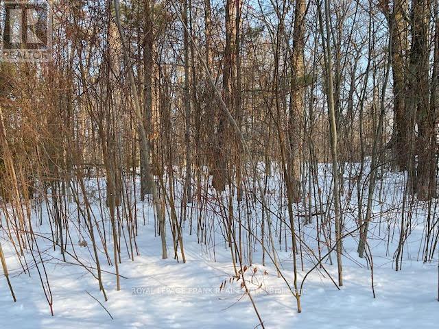 












0 SUGARBUSH CRESCENT

,
Trent Lakes,







Ontario
K0L1J0

