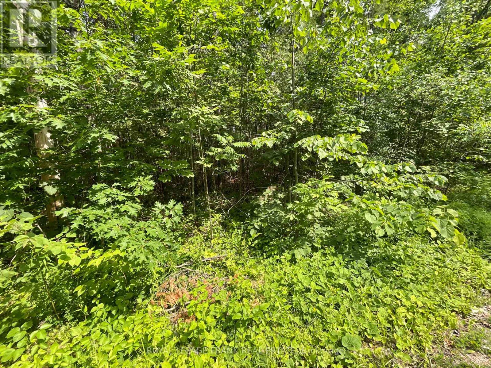 












0 SUGARBUSH CRESCENT

,
Trent Lakes,







Ontario
K0L1J0

