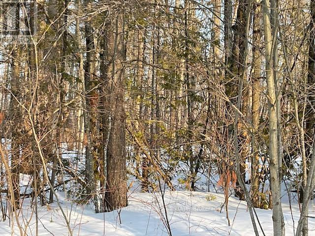 












0 SUGARBUSH CRESCENT

,
Trent Lakes,







Ontario
K0L1J0

