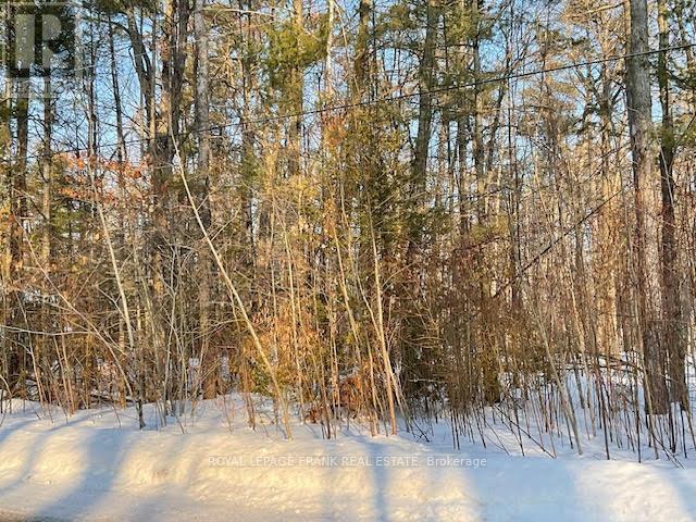 












0 SUGARBUSH CRESCENT

,
Trent Lakes,







Ontario
K0L1J0

