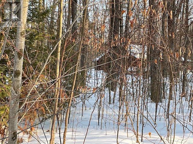 












0 SUGARBUSH CRESCENT

,
Trent Lakes,







Ontario
K0L1J0

