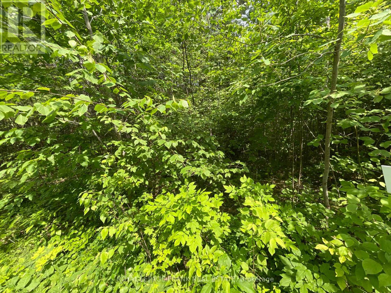 












0 SUGARBUSH CRESCENT

,
Trent Lakes,







Ontario
K0L1J0

