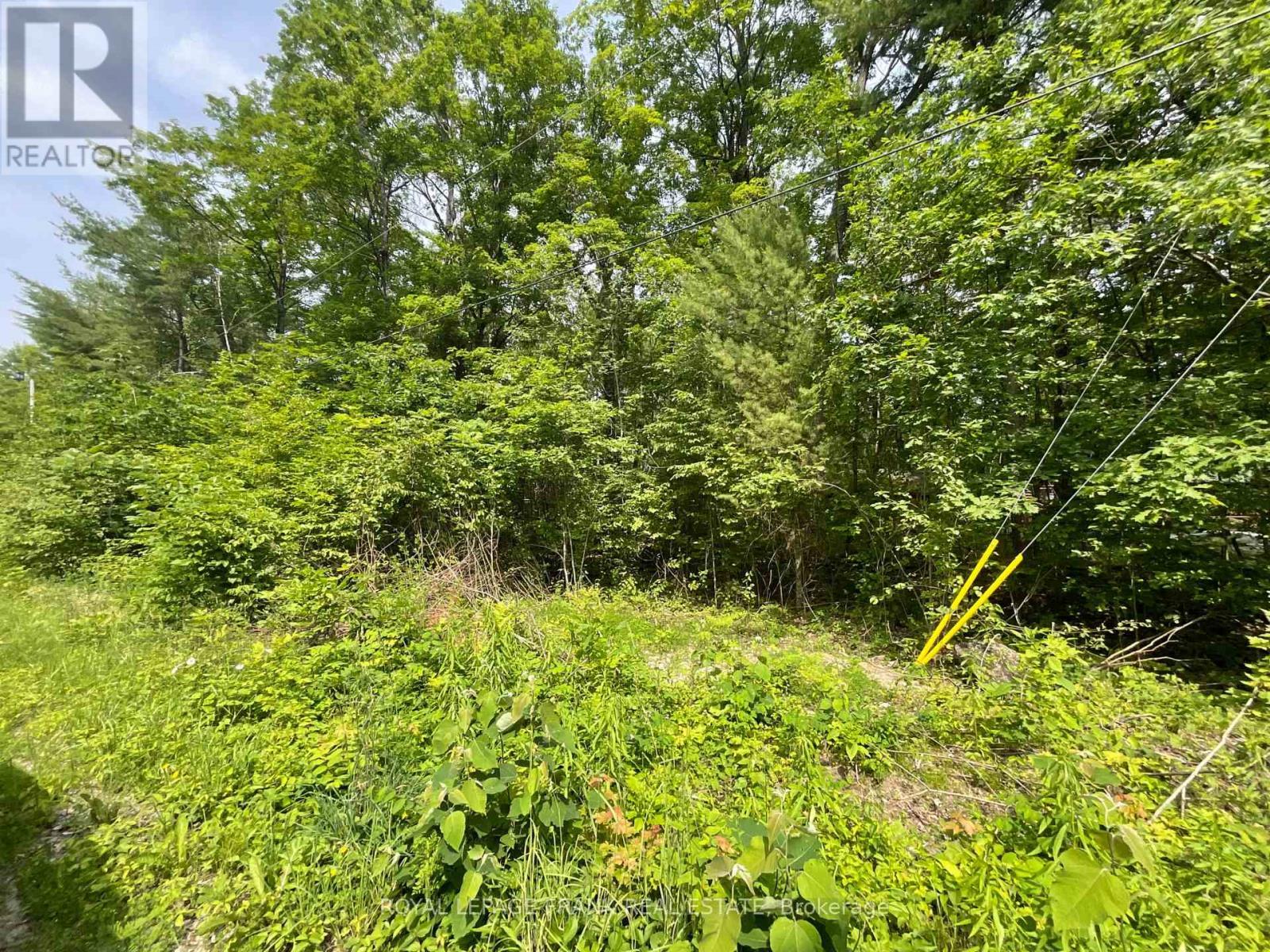 












0 SUGARBUSH CRESCENT

,
Trent Lakes,







Ontario
K0L1J0

