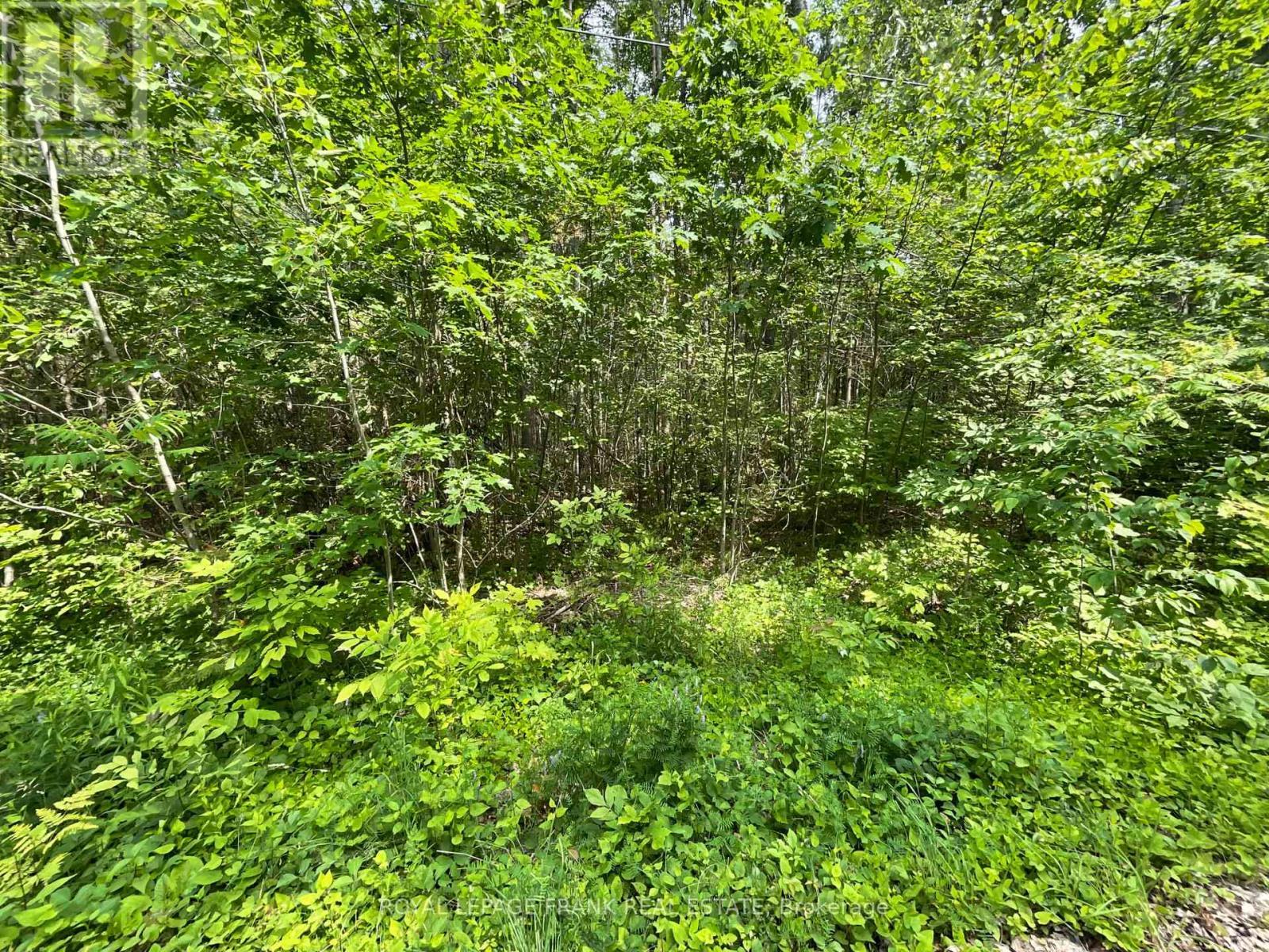 












0 SUGARBUSH CRESCENT

,
Trent Lakes,







Ontario
K0L1J0

