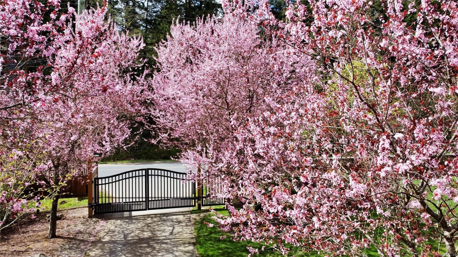 









6583


Wallace

Dr,
Central Saanich,




BC
V8M 1J8

