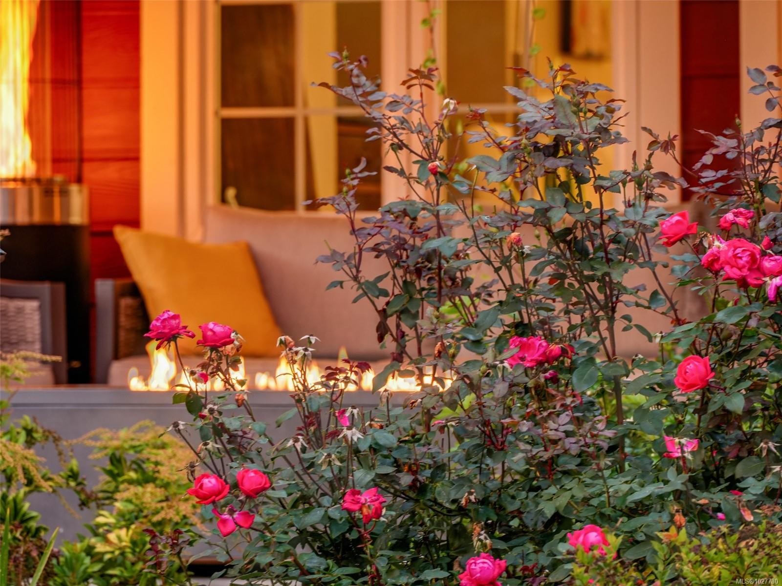 









6583


Wallace

Dr,
Central Saanich,




BC
V8M 1J8

