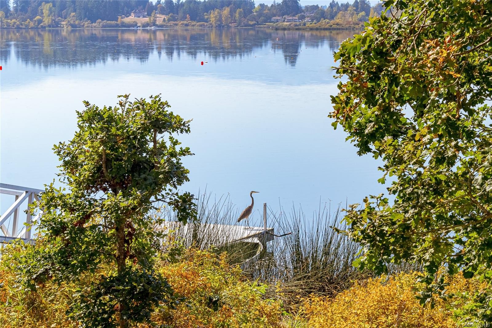 









1835


Westlock

Rd,
Duncan,




BC
V9L 0B8

