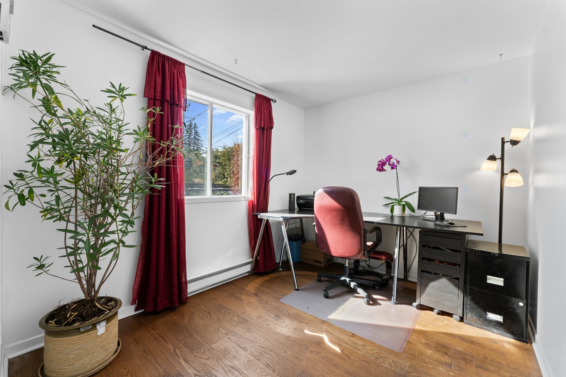 









34


Rue Pauline-Donalda

,
Montréal (Rivière-des-Prairies/Pointe-aux-Trembles),




QC
H1A4Z7

