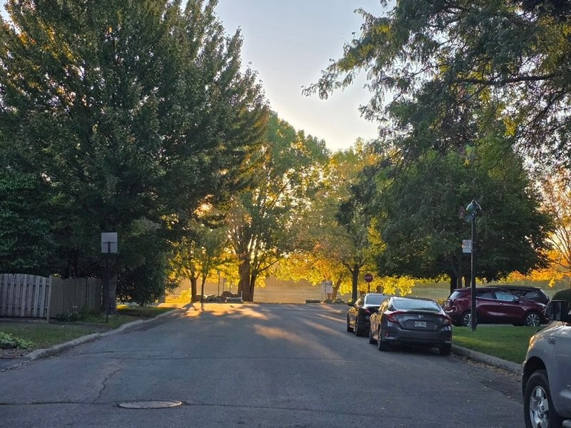 









34


Rue Pauline-Donalda

,
Montréal (Rivière-des-Prairies/Pointe-aux-Trembles),




QC
H1A4Z7

