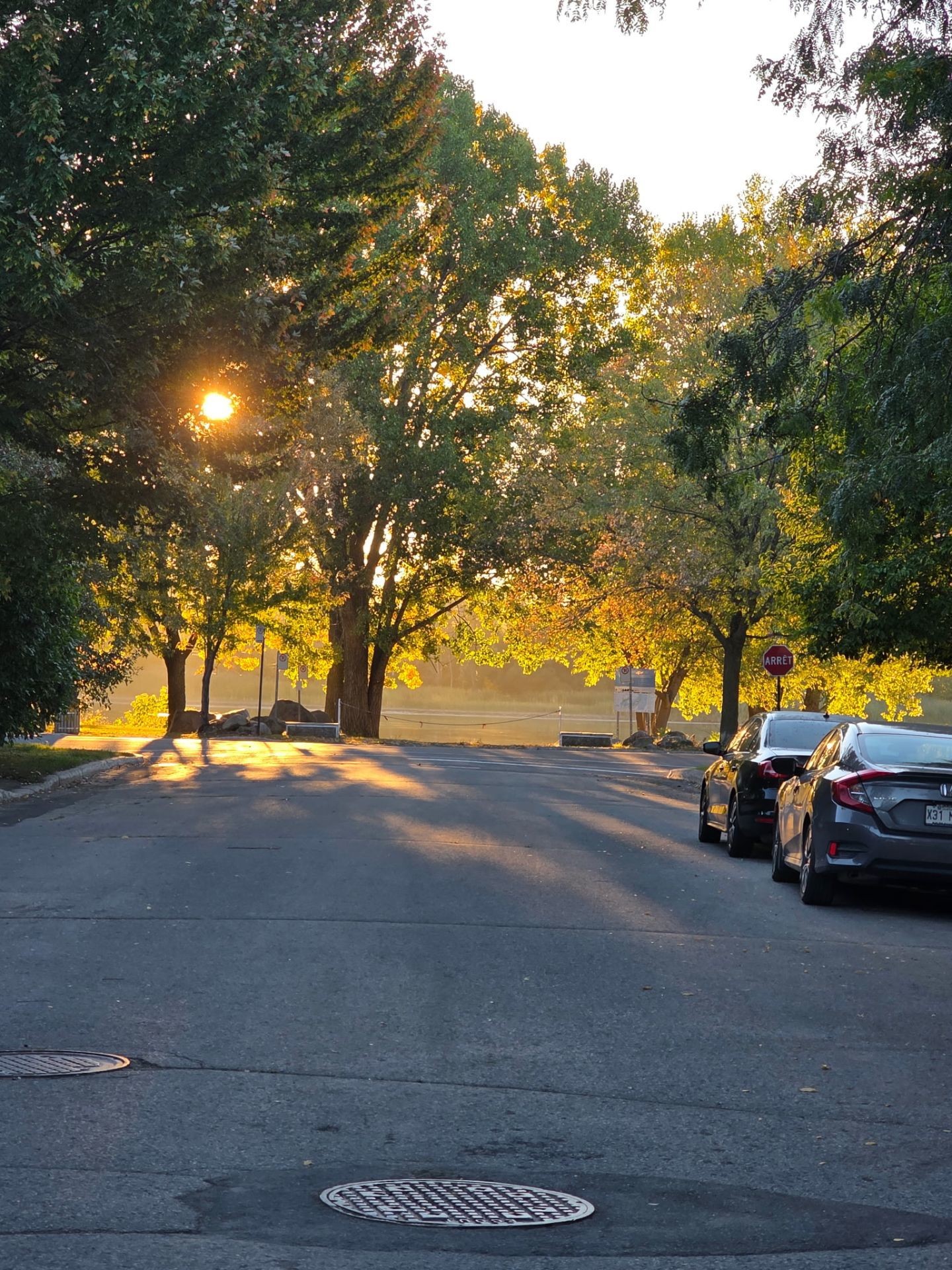 









34


Rue Pauline-Donalda

,
Montréal (Rivière-des-Prairies/Pointe-aux-Trembles),




QC
H1A4Z7

