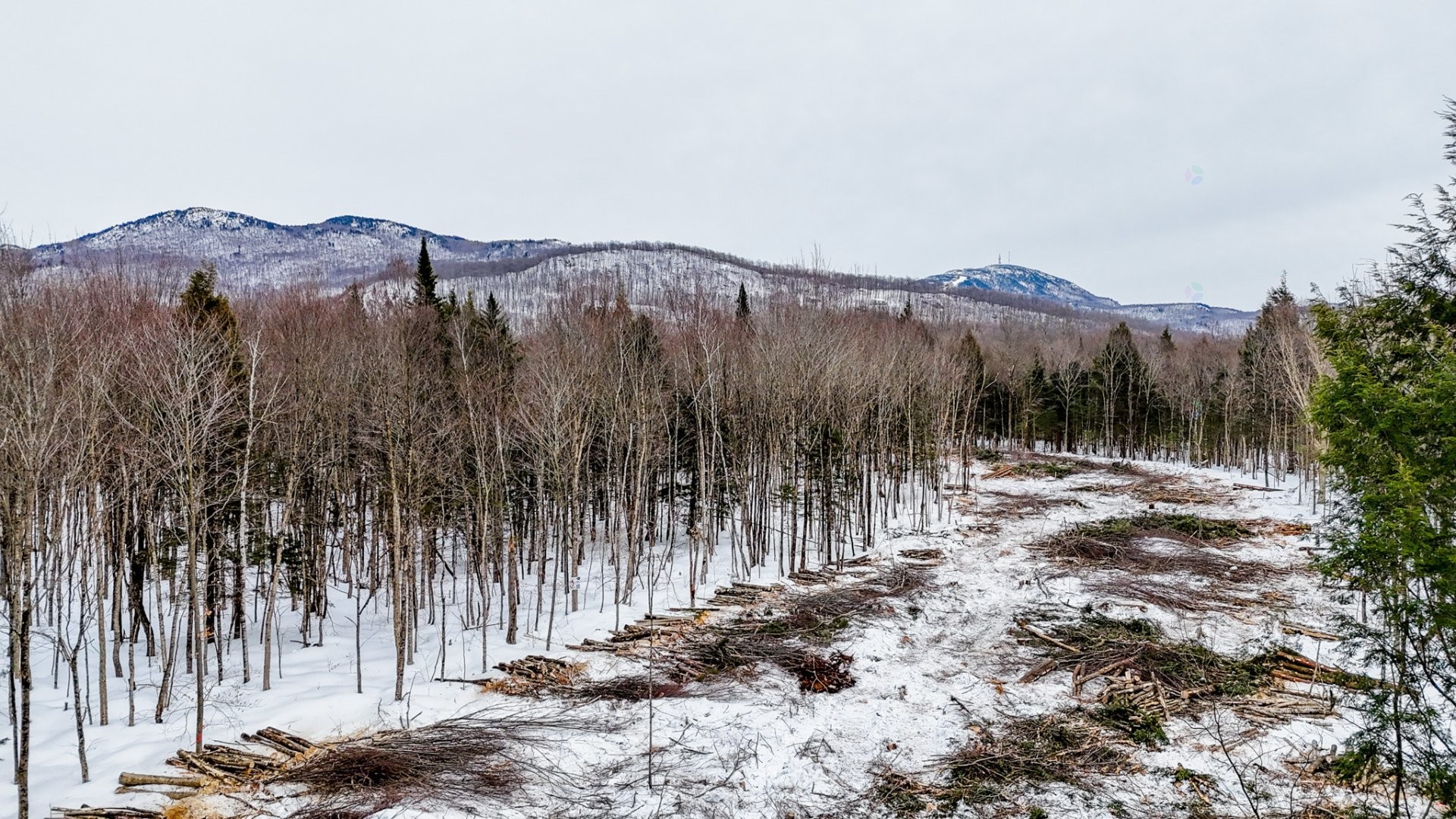 












Ch. George-Bonnallie

, 6,
Eastman,







QC
J0E1P0

