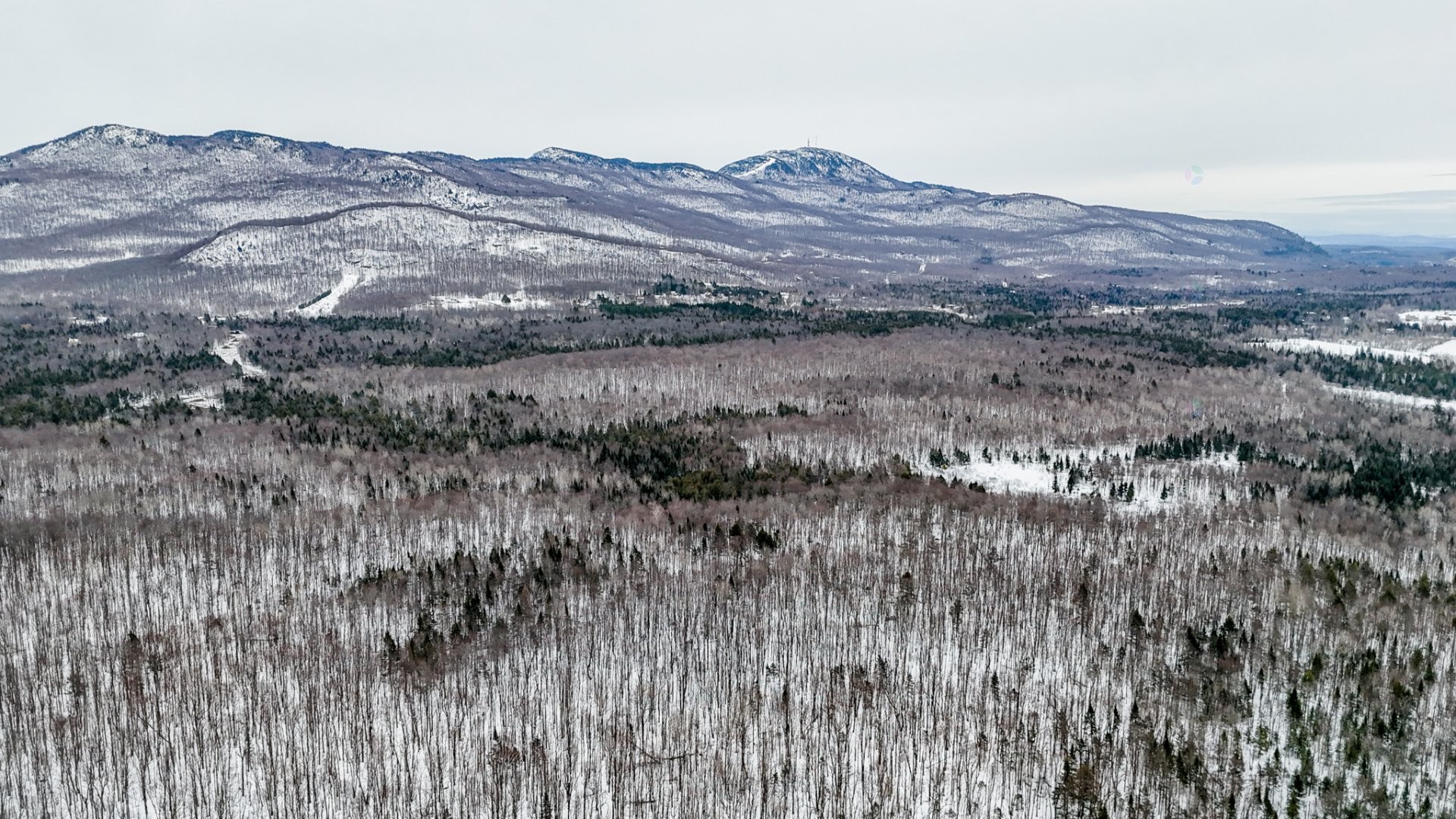 












Ch. George-Bonnallie

, 12,
Eastman,







QC
J0E1P0

