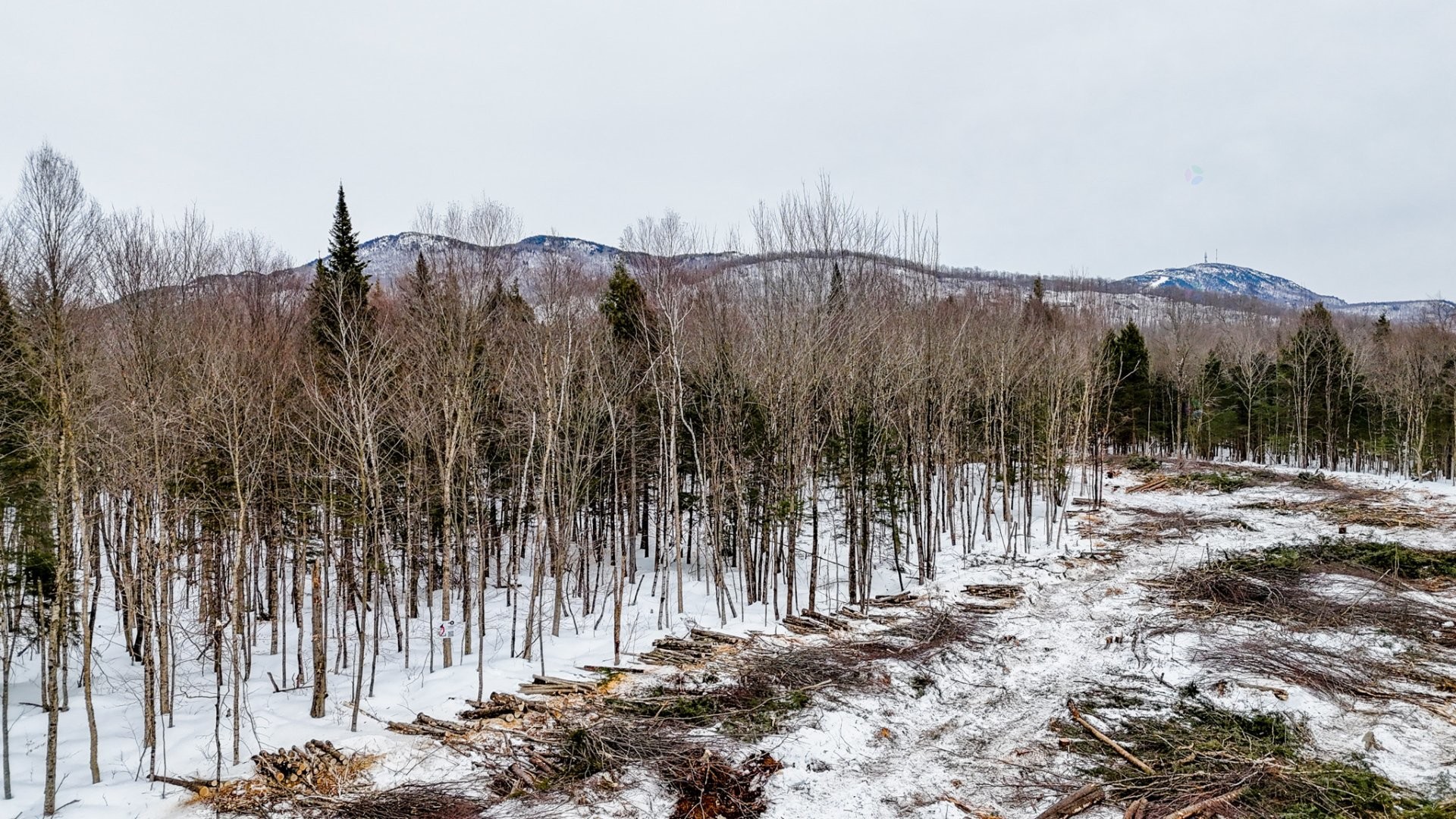 












Ch. George-Bonnallie

, 29,
Eastman,







QC
J0E1P0

