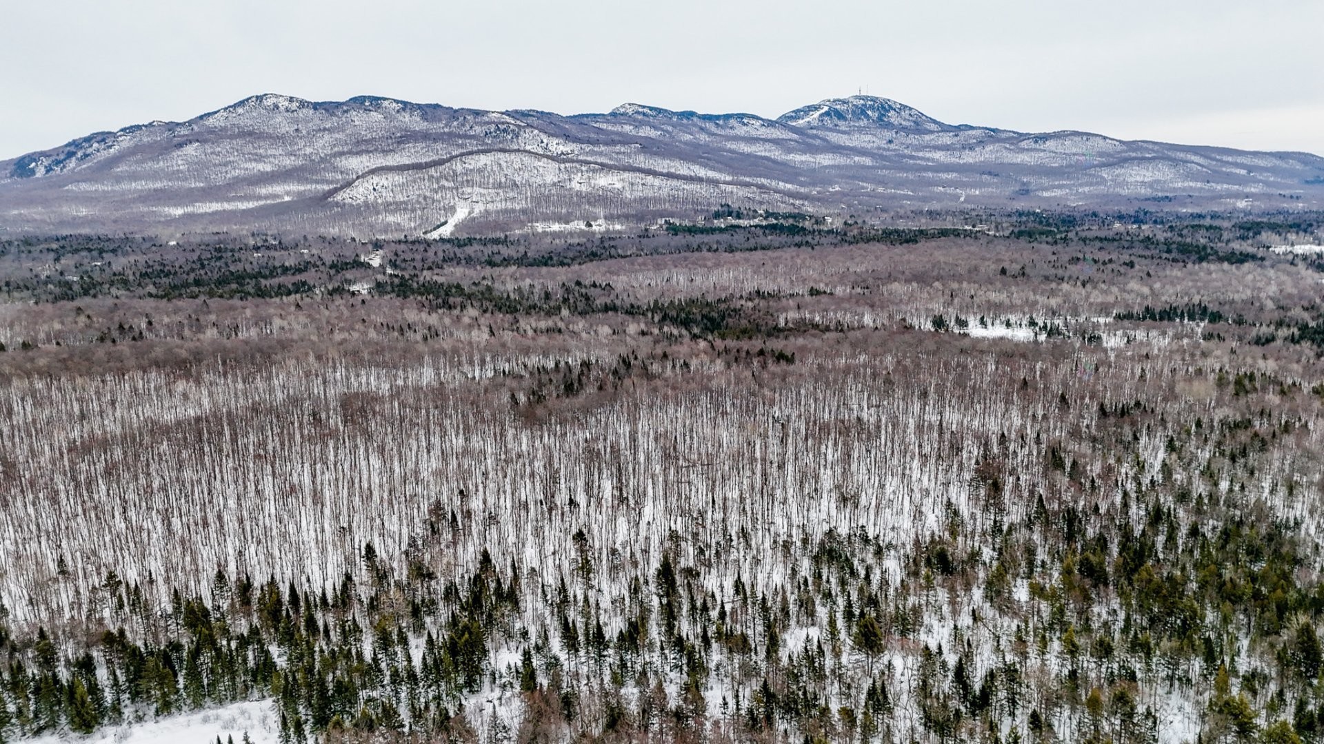 












Ch. George-Bonnallie

, 47,
Eastman,







QC
J0E1P0

