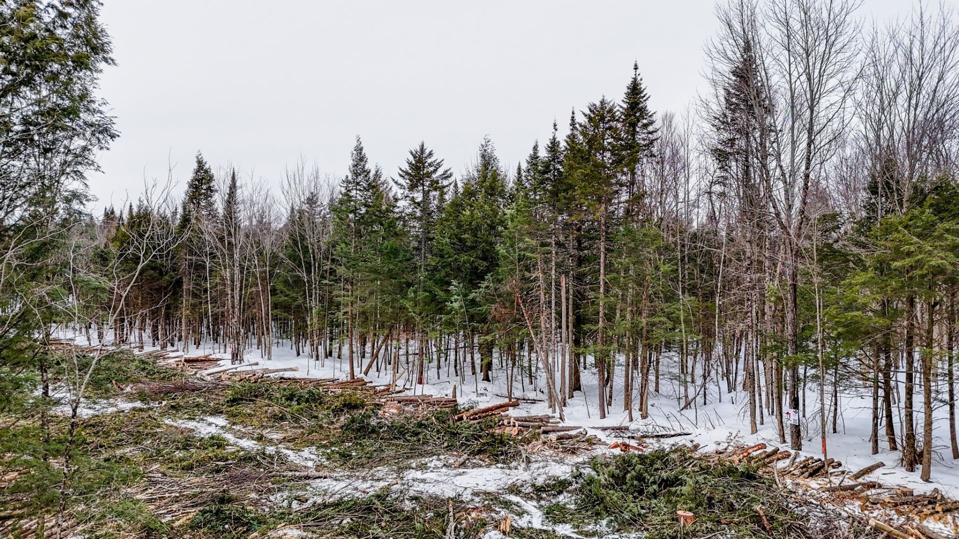 












Ch. George-Bonnallie

, 47,
Eastman,







QC
J0E1P0

