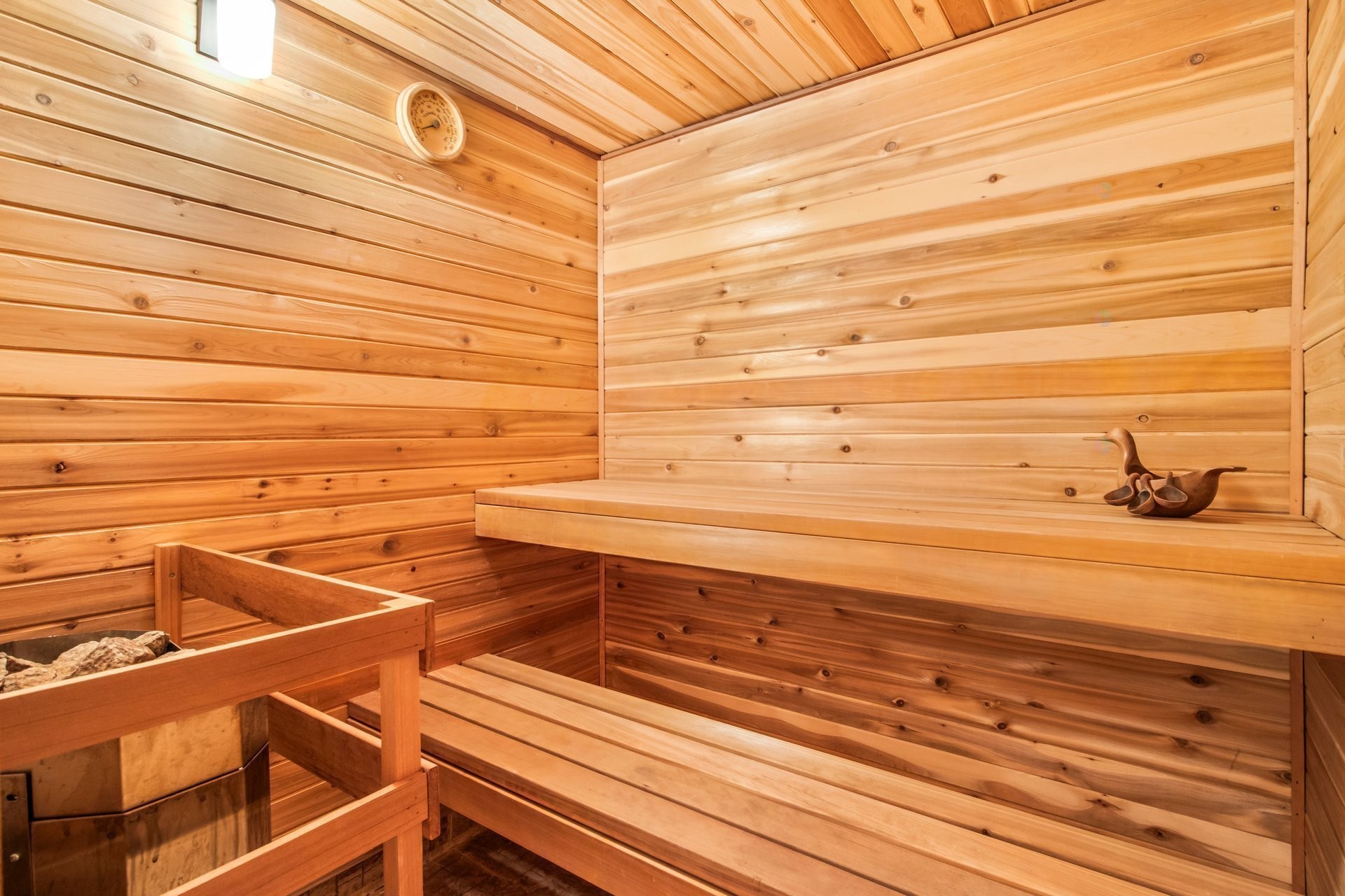 









5901


Av. Brandeis

,
Côte-Saint-Luc,




QC
H4W3B2

