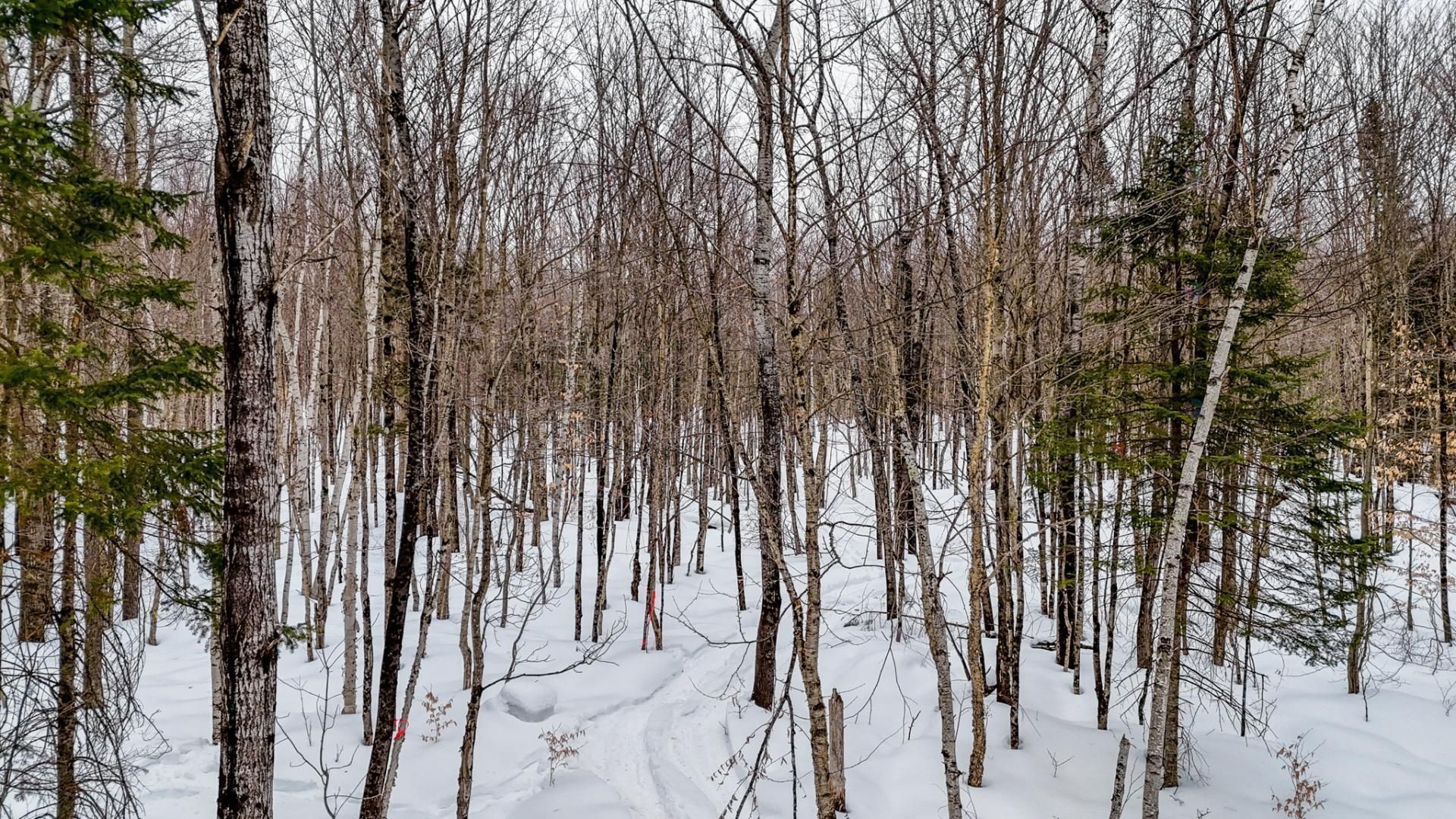 












Ch. George-Bonnallie

, 52,
Eastman,







QC
J0E1P0

