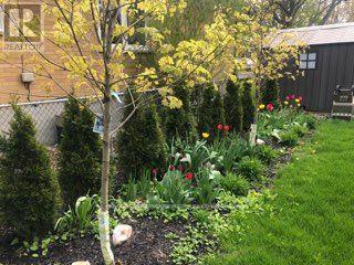 












LOWER - 249 LUCAS STREET

,
Richmond Hill,




Ontario
L4C4P9

