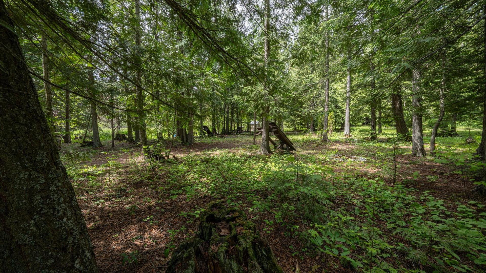 









1075


Six Mile Creek

Road,
Vernon,




BC
V1H 2H1

