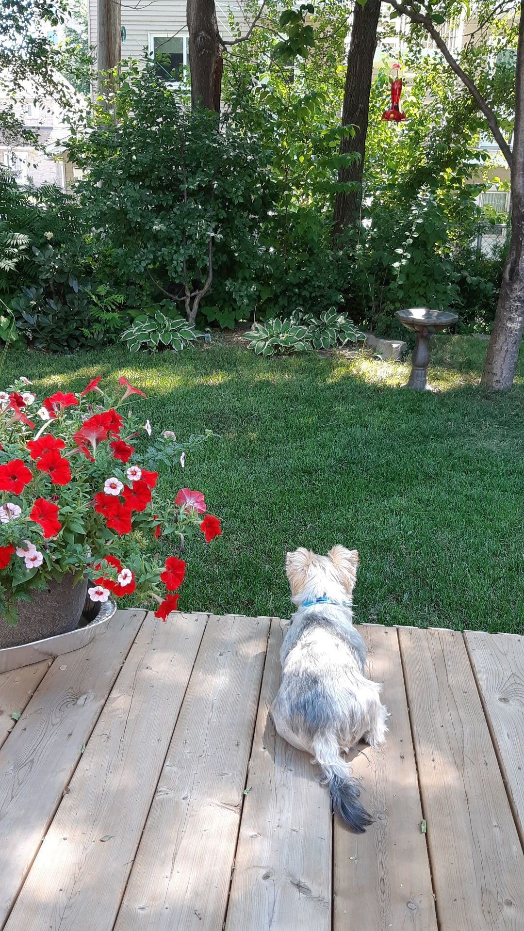 









261


Rue Chartrand

,
Saint-Jérôme,




QC
J7Z4Y8

