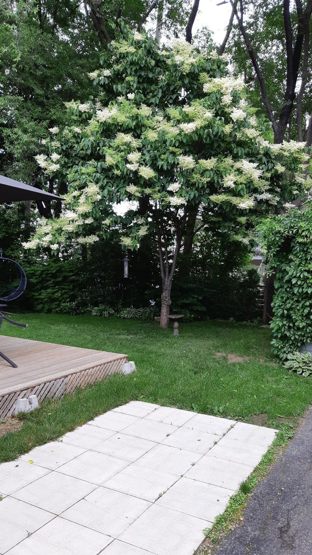 









261


Rue Chartrand

,
Saint-Jérôme,




QC
J7Z4Y8

