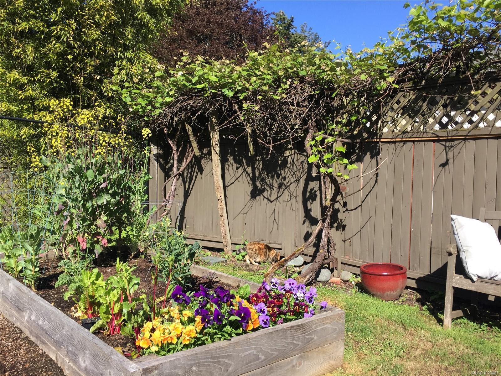 









1274


Tattersall

Dr,
Saanich,




BC
V8P 1Z4

