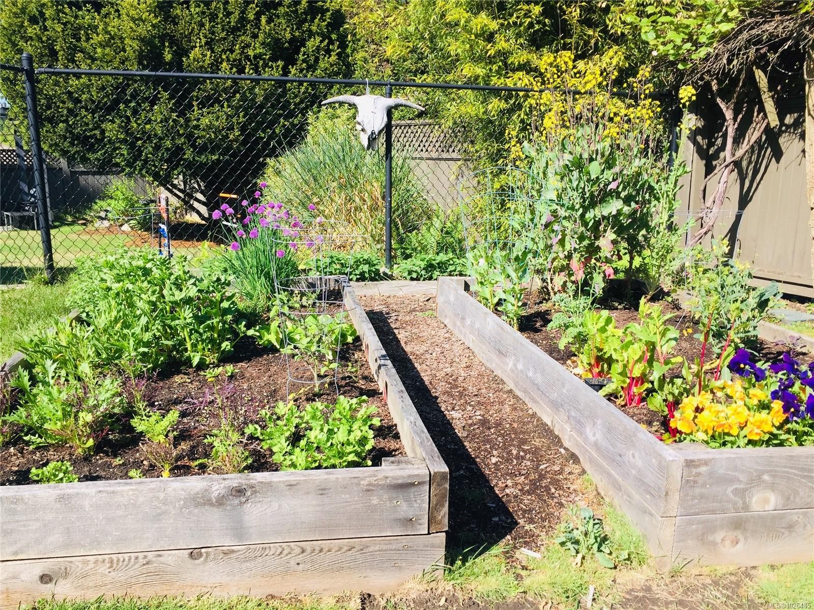 









1274


Tattersall

Dr,
Saanich,




BC
V8P 1Z4

