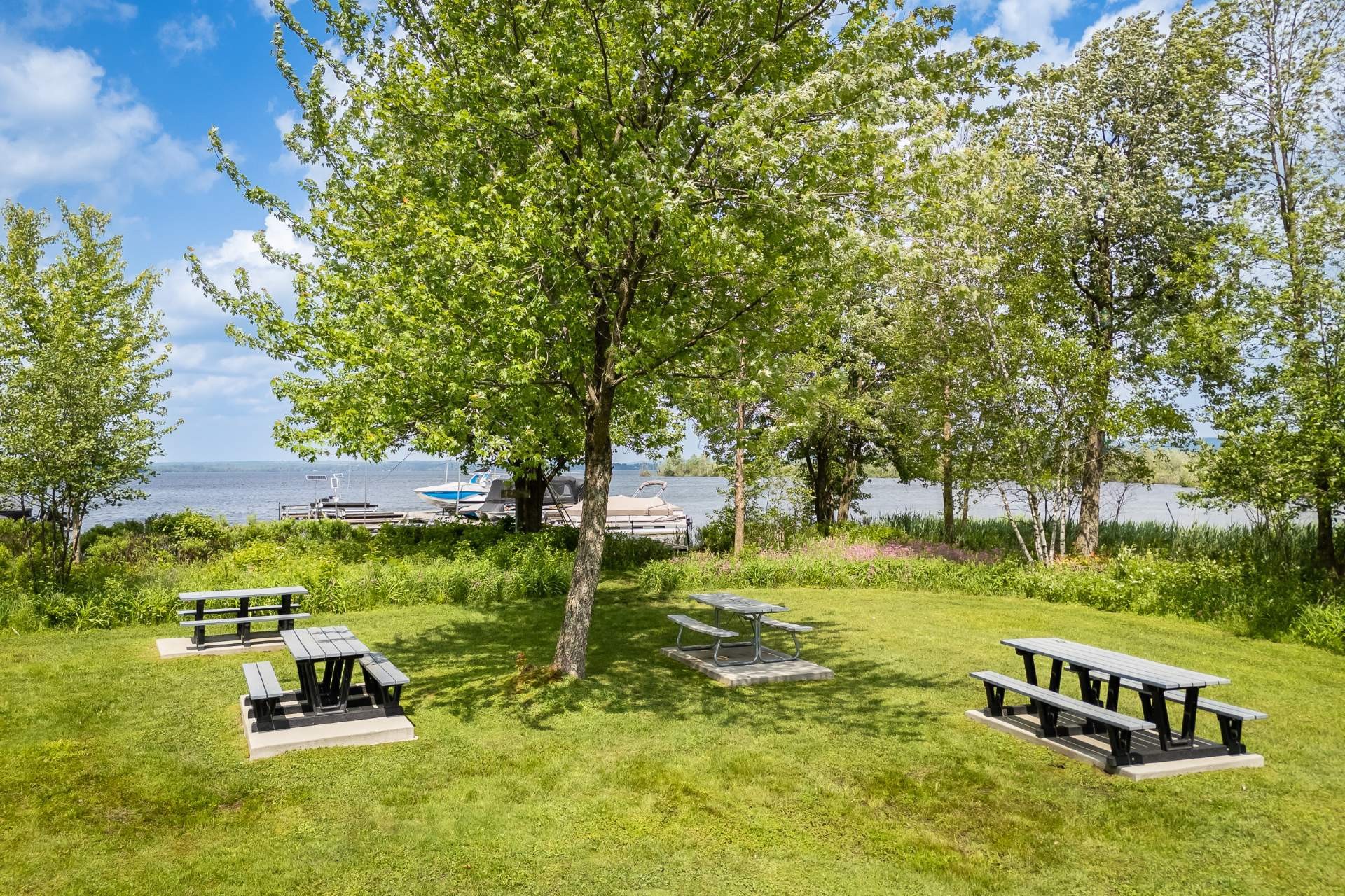 









28


Rue Willow

,
Lac-Brome,




QC
J0E1V0

