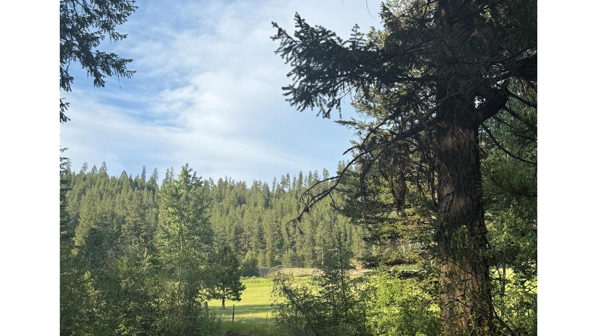 









6241


33

Highway,
Carmi,




BC
V0H 1A0

