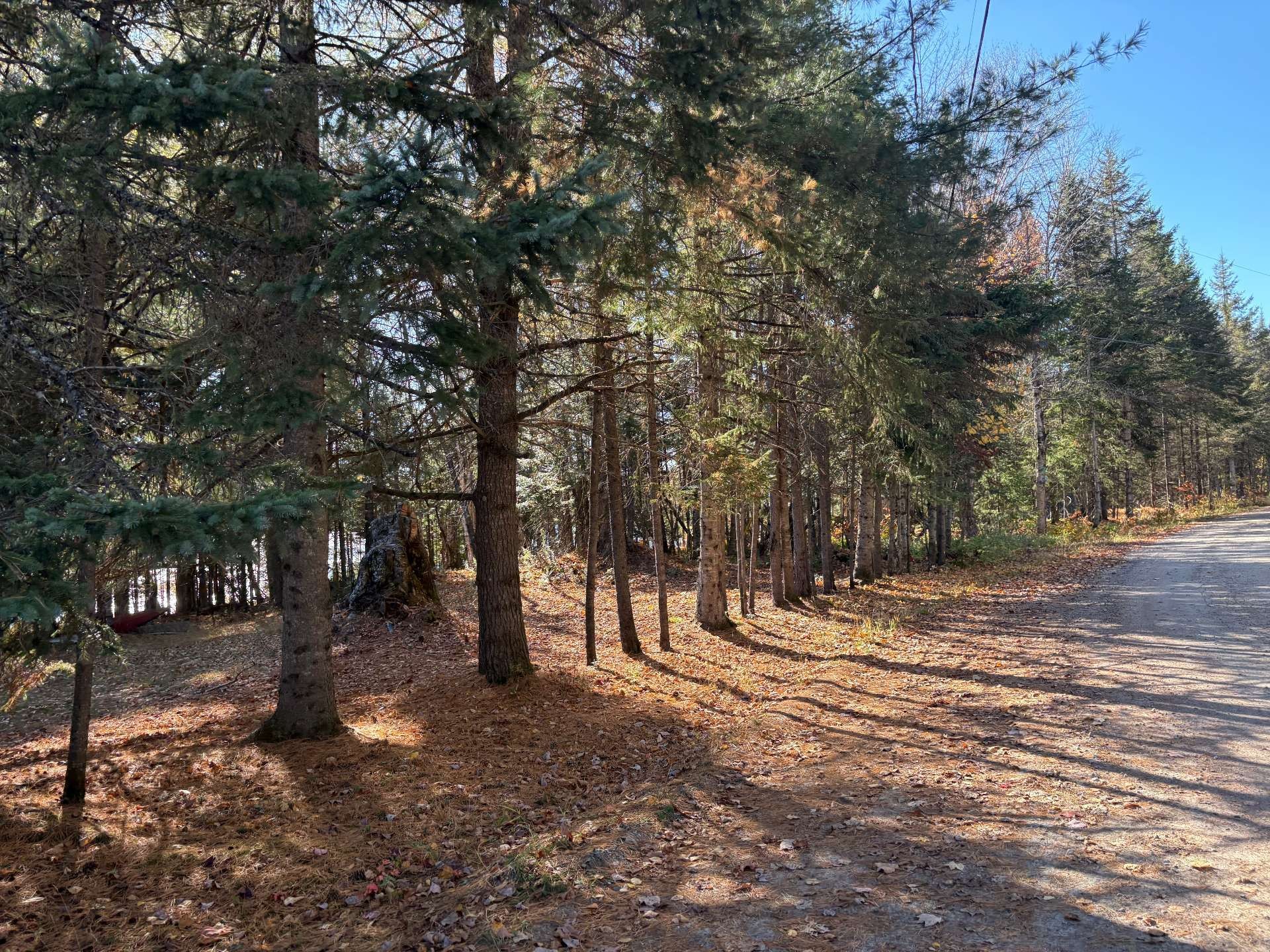 









402


Ch. du Lac-du-Gros-Brochet

,
L'Ascension,




QC
J0T1W0

