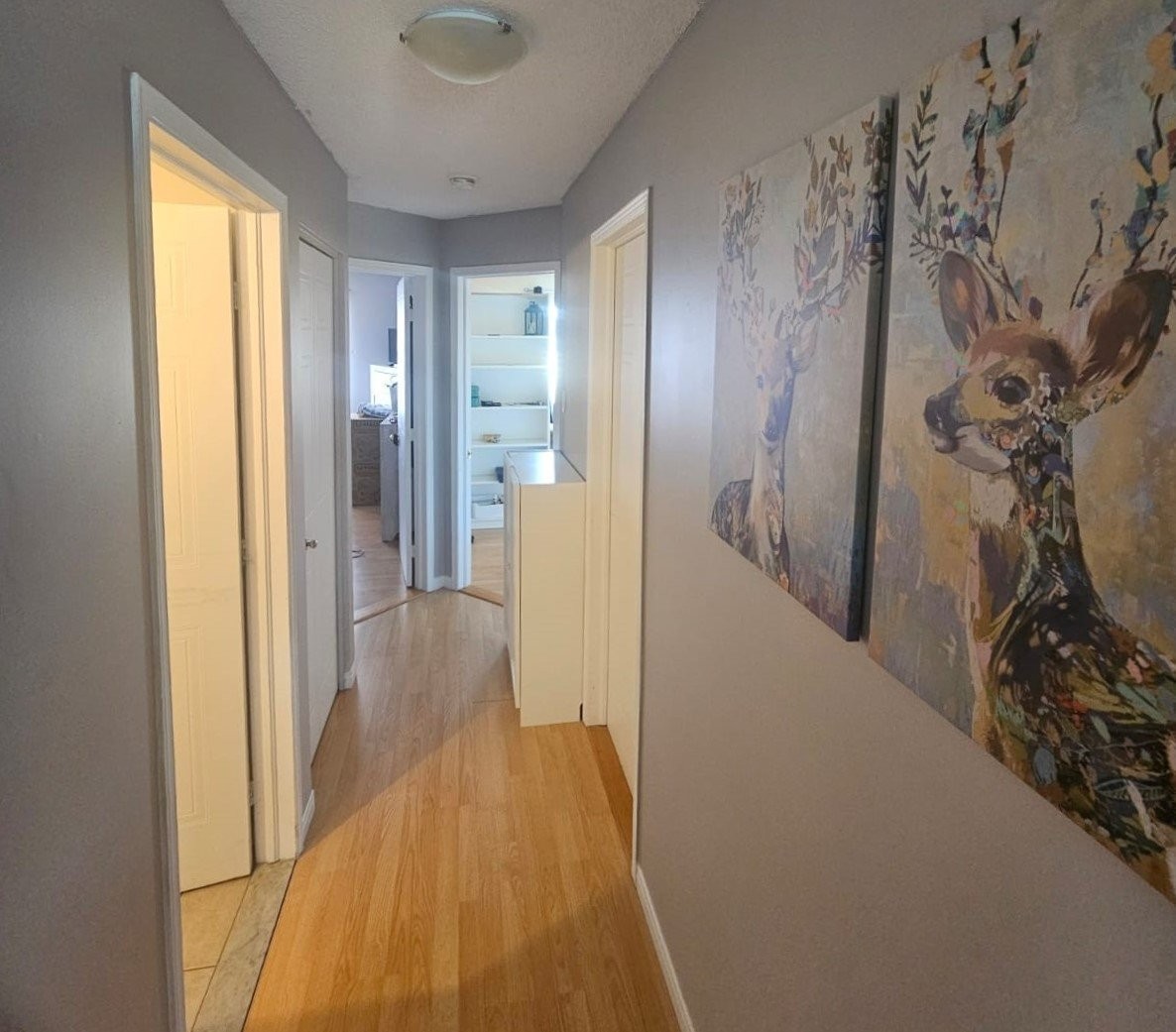 









1229


Boul. St-René O.

,
Gatineau (Gatineau),




QC
J8T6J1

