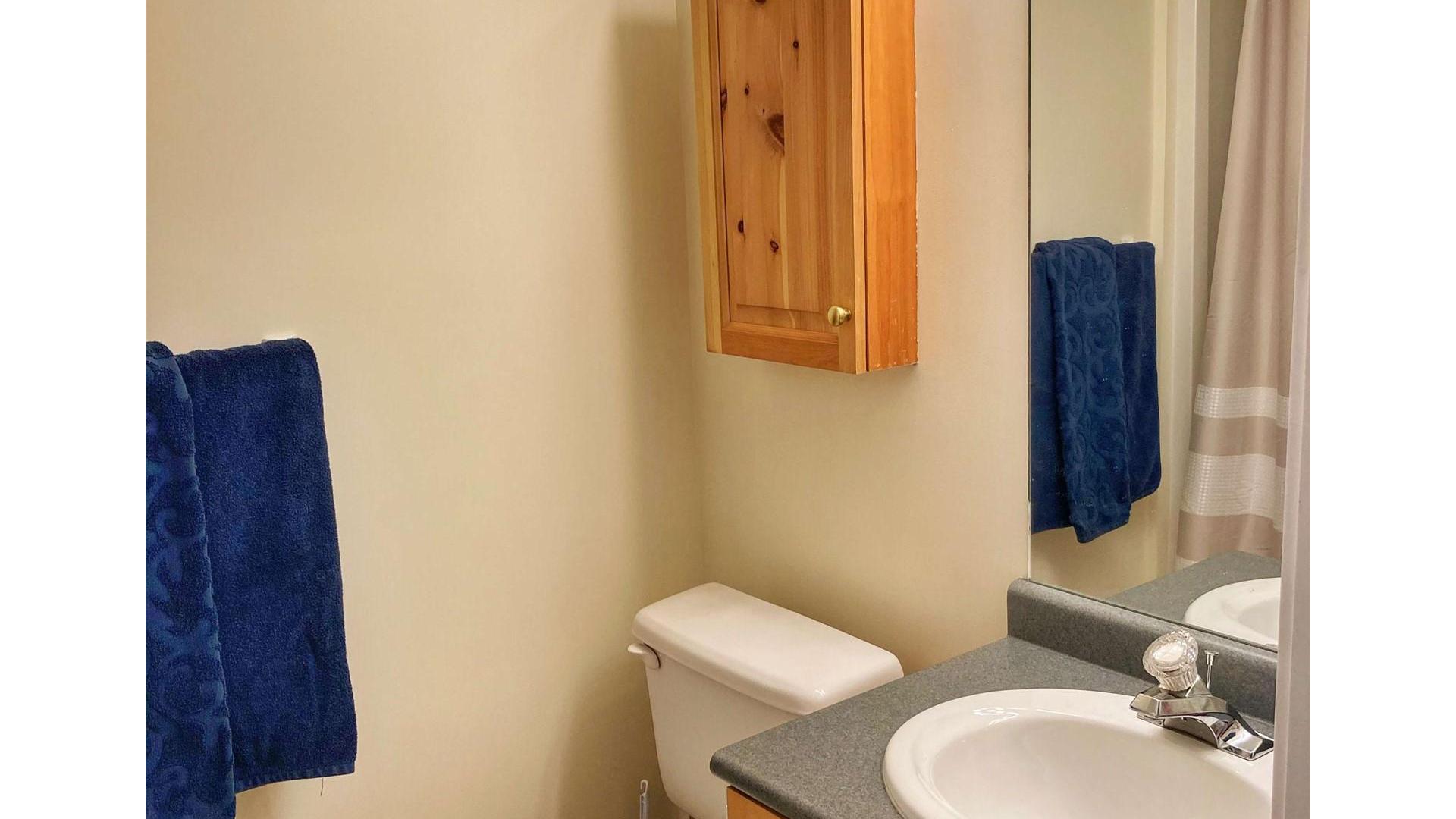 









4820


Snowpines

Road, C,
Big White,




BC
V1P 1P3

