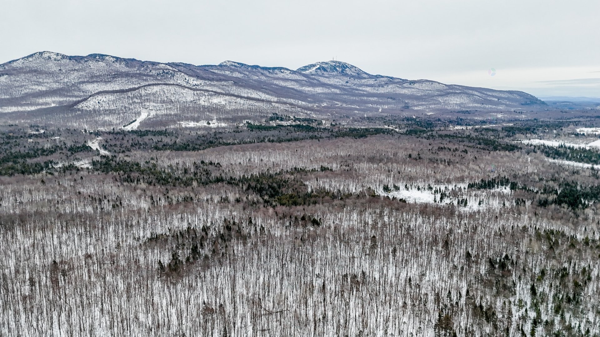 












Ch. George-Bonnallie

, 56,
Eastman,







QC
J0E1P0

