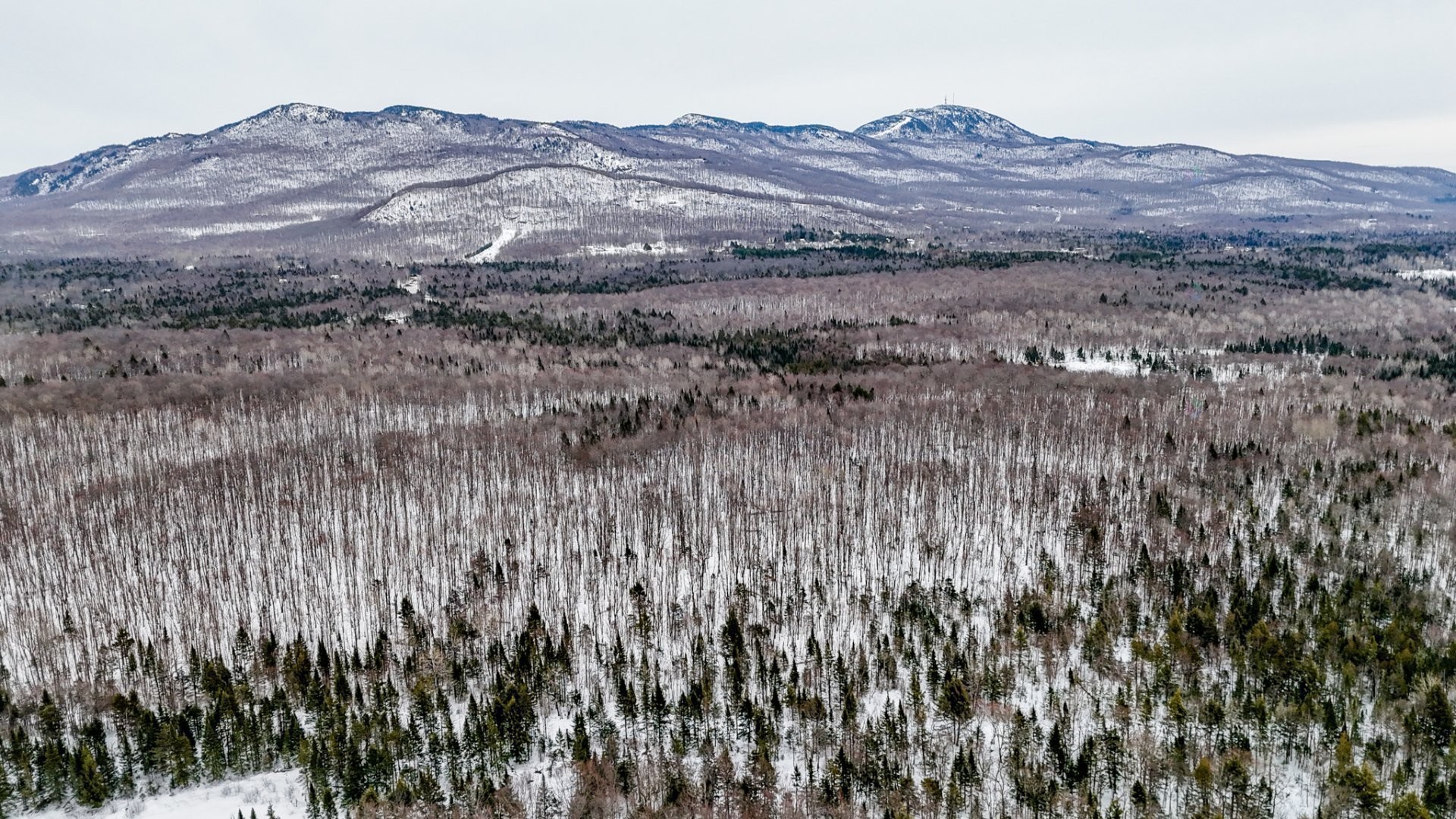 












Ch. George-Bonnallie

, 55,
Eastman,







QC
J0E1P0

