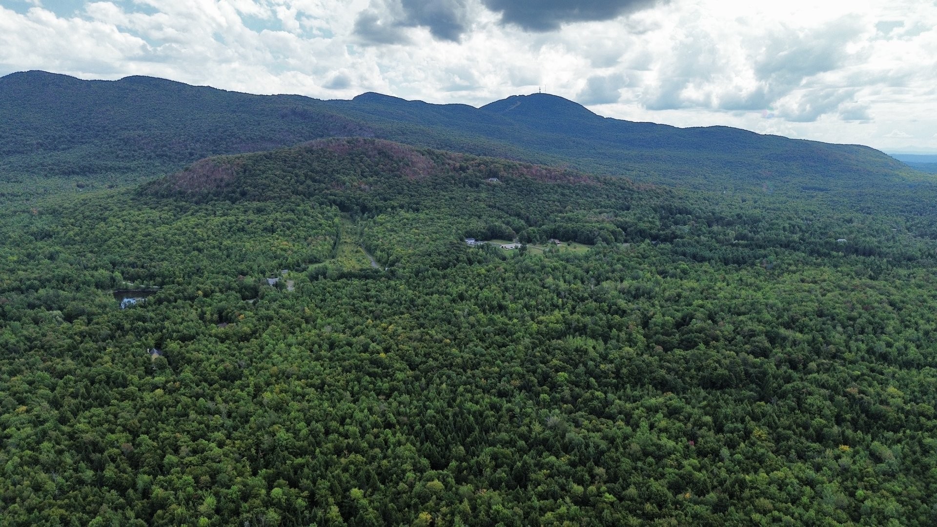 












Ch. George-Bonnallie

, 70,
Eastman,







QC
J0E1P0

