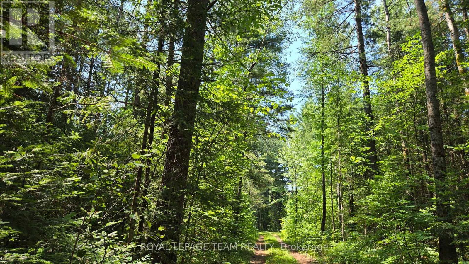 












00 (31253) HIGHWAY 41 HIGHWAY

,
Bonnechere Valley,







Ontario
K0J1T0

