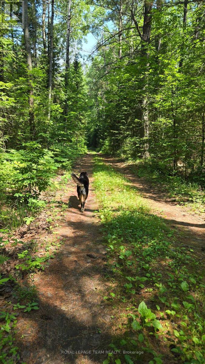 












00 (31253) HIGHWAY 41 HIGHWAY

,
Bonnechere Valley,







Ontario
K0J1T0

