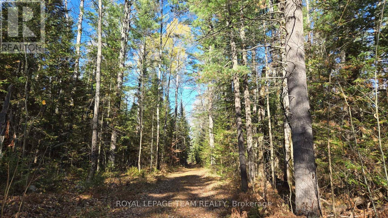 












00 (31253) HIGHWAY 41 HIGHWAY

,
Bonnechere Valley,







Ontario
K0J1T0

