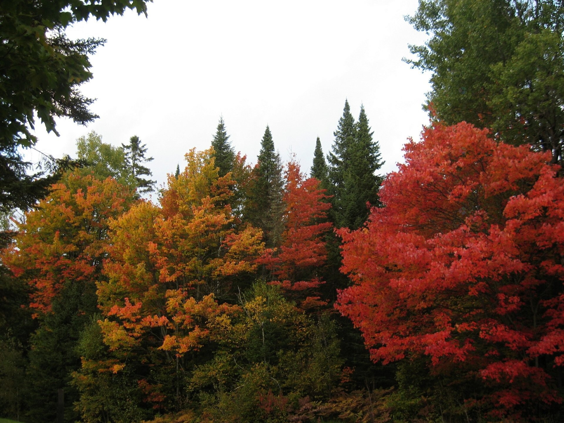 









1102


Ch. de Ste-Lucie

,
Sainte-Lucie-des-Laurentides,




QC
J0T2J0

