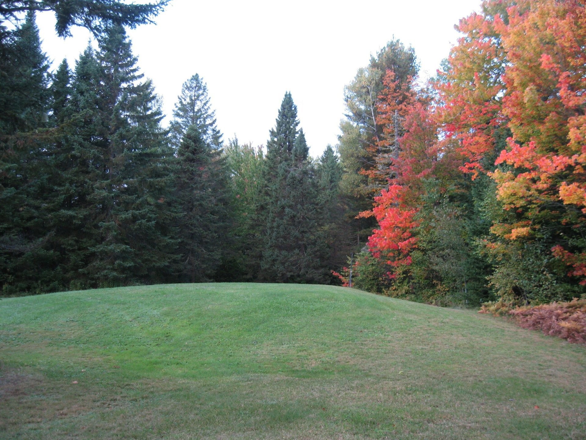 









1102


Ch. de Ste-Lucie

,
Sainte-Lucie-des-Laurentides,




QC
J0T2J0

