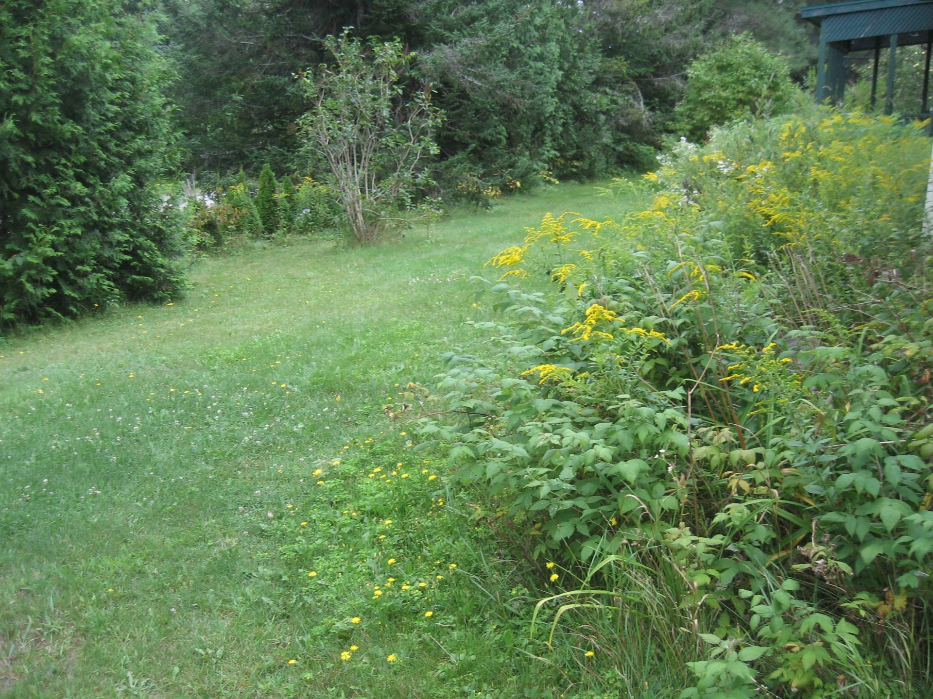 









1102


Ch. de Ste-Lucie

,
Sainte-Lucie-des-Laurentides,




QC
J0T2J0

