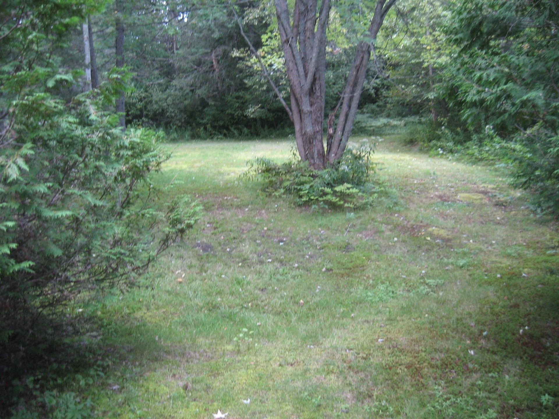 









1102


Ch. de Ste-Lucie

,
Sainte-Lucie-des-Laurentides,




QC
J0T2J0

