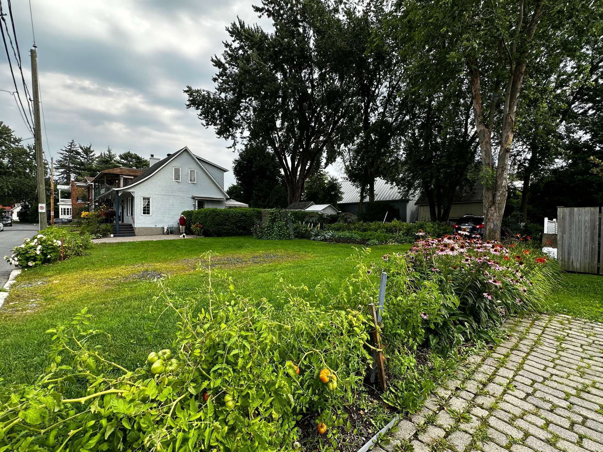 









6


Rue De Montbrun

,
Boucherville,




QC
J4B4T7

