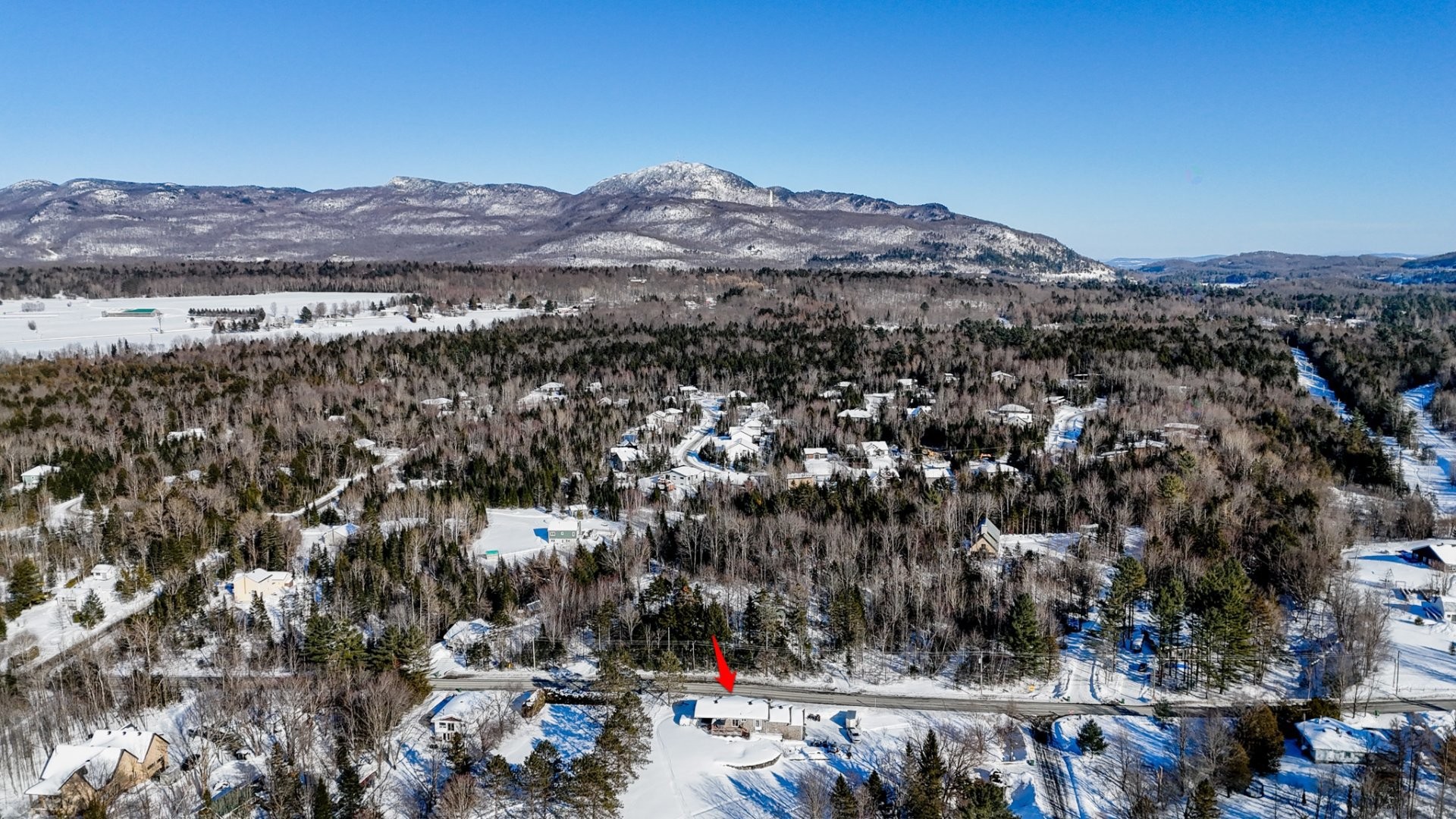 









51


Ch. George-Bonnallie

,
Eastman,




QC
J0E1P0

