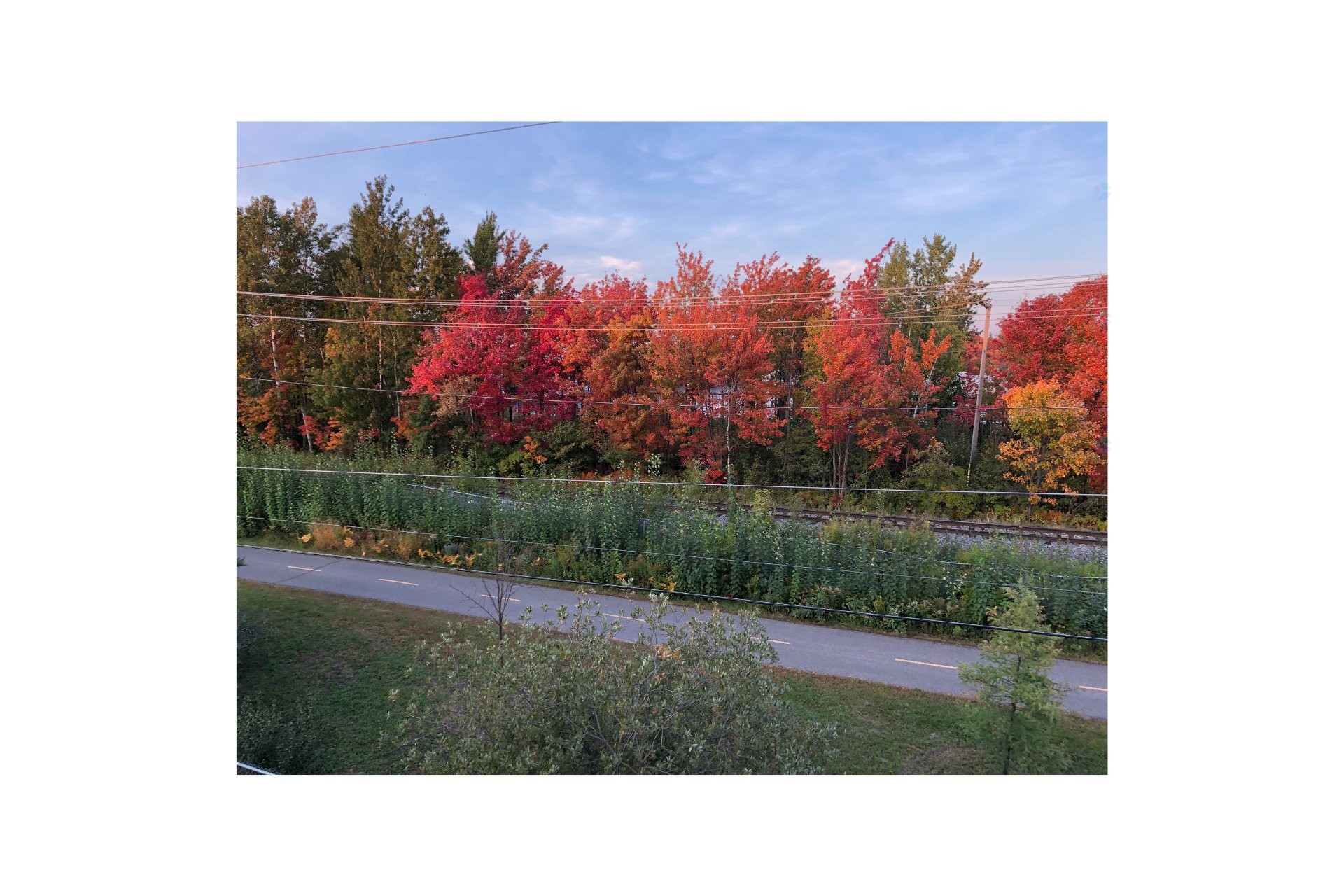 









43


37e Avenue E.

, 105,
Blainville,




QC
J7C5Z4


