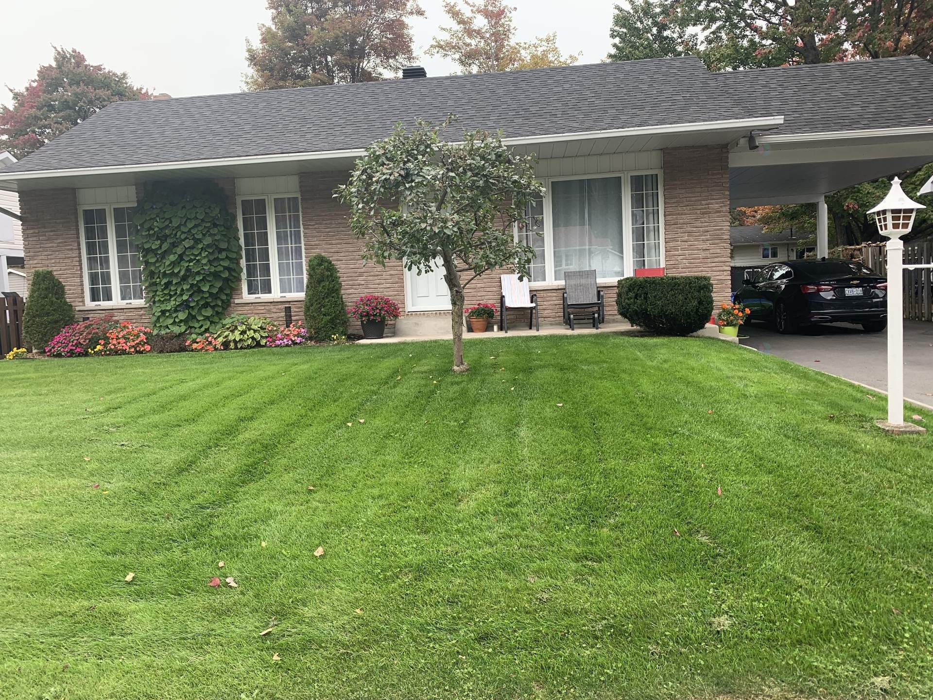 









11


Rue Rémi-Desjardins

,
Gatineau (Buckingham),




QC
J8L3G5

