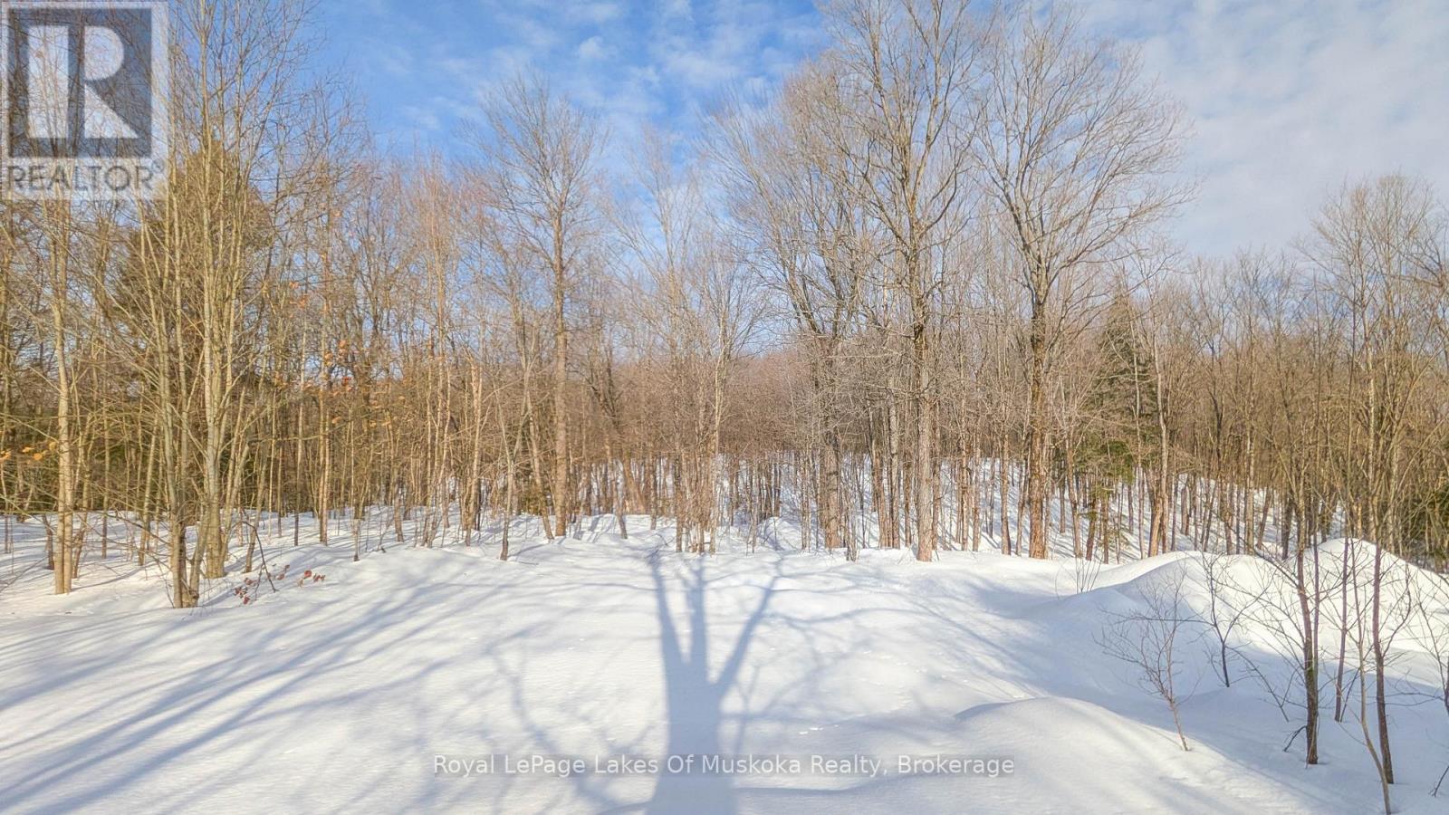 












1100 RAYMOND ROAD

,
Muskoka Lakes (Watt),




Ontario
P0B1M0

