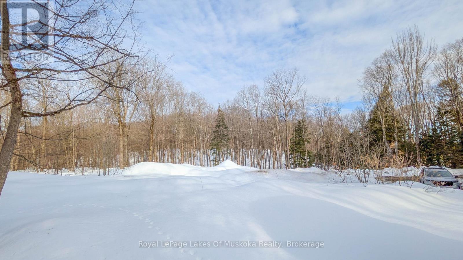 












1100 RAYMOND ROAD

,
Muskoka Lakes (Watt),




Ontario
P0B1M0

