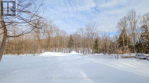 VIEW: West (building envelope to the left).